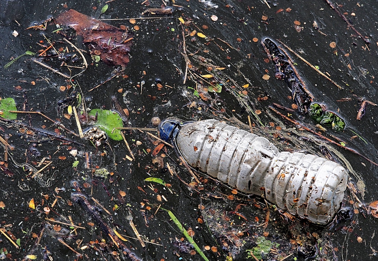 海洋深處的呼喚，魚的吶喊與我們的責(zé)任