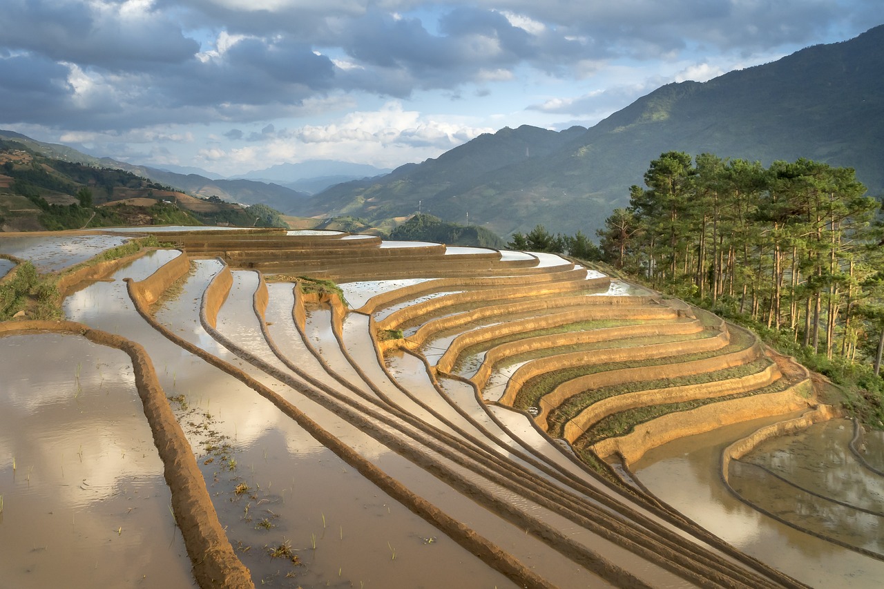 南平稻米，滋養(yǎng)大地，傳承千年文化